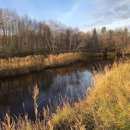 Casa de Férias Dome House With Free Sauna By The River Turisalu